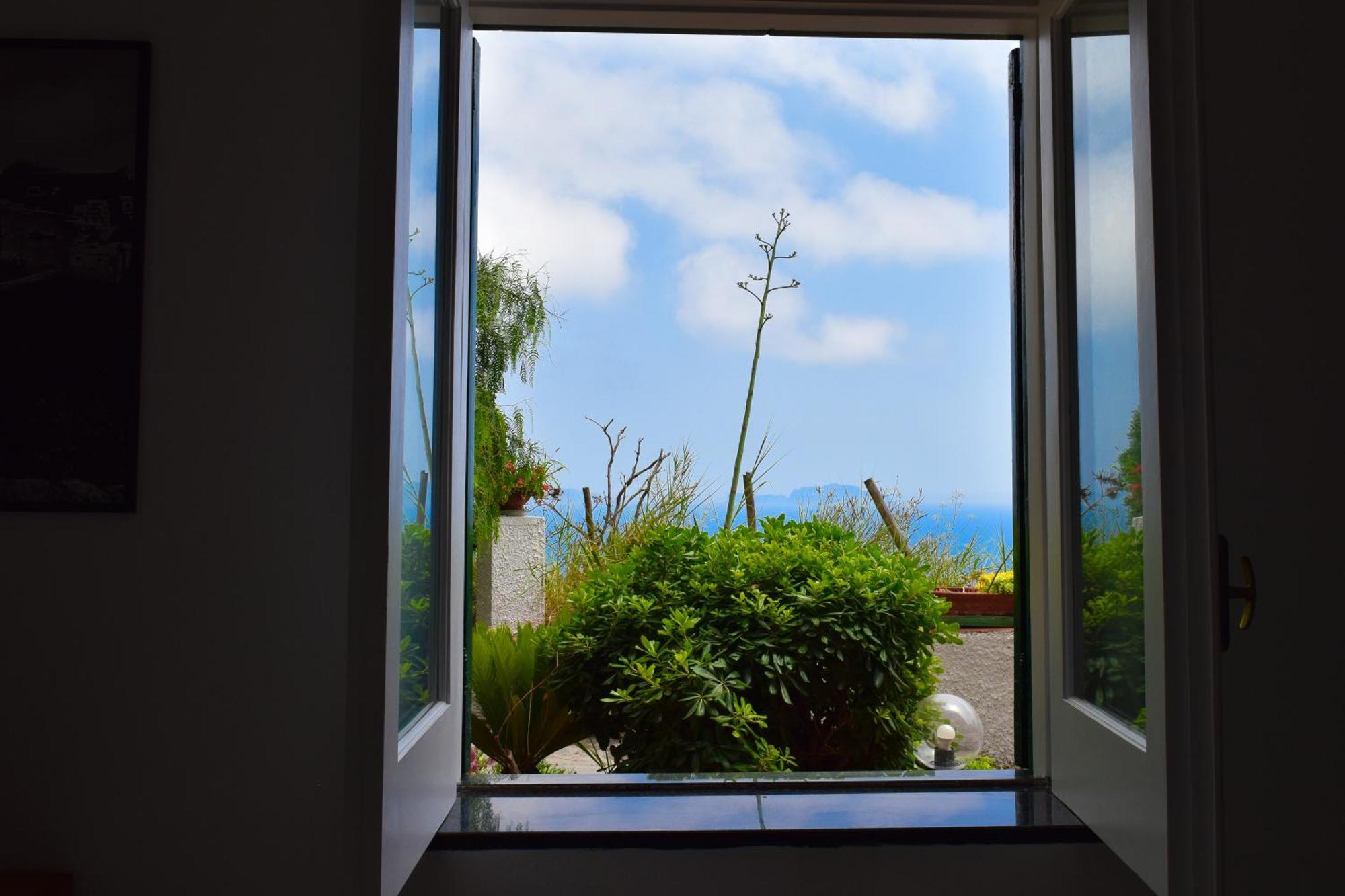 Il Giardino Selvatico Di Succellario - Apartments Barano d'Ischia Exterior photo